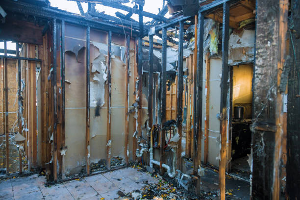Professional Soot Cleanup technician working in Welby, CO